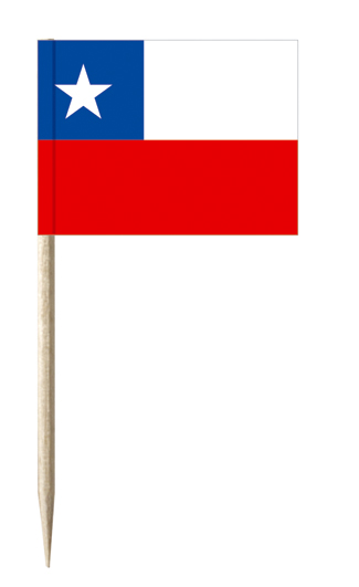Minifahnen Dekopicker / Käsepicker Chile