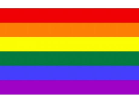 Polyesterfahne Regenbogen