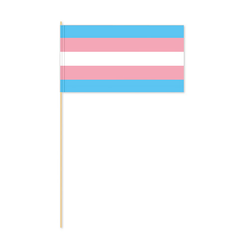 Papierfahnen Transgender am Holzstab
